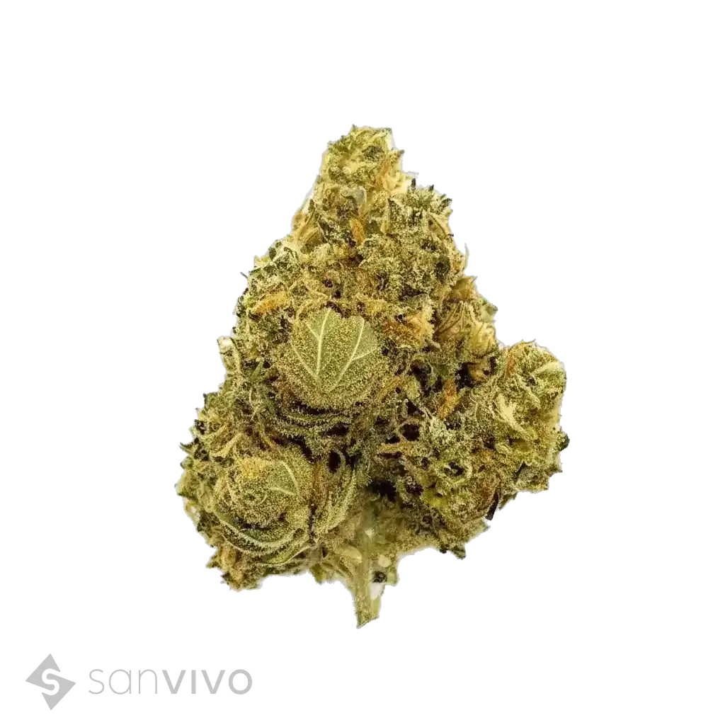 Bedrocan Cannabis Flos 22/1