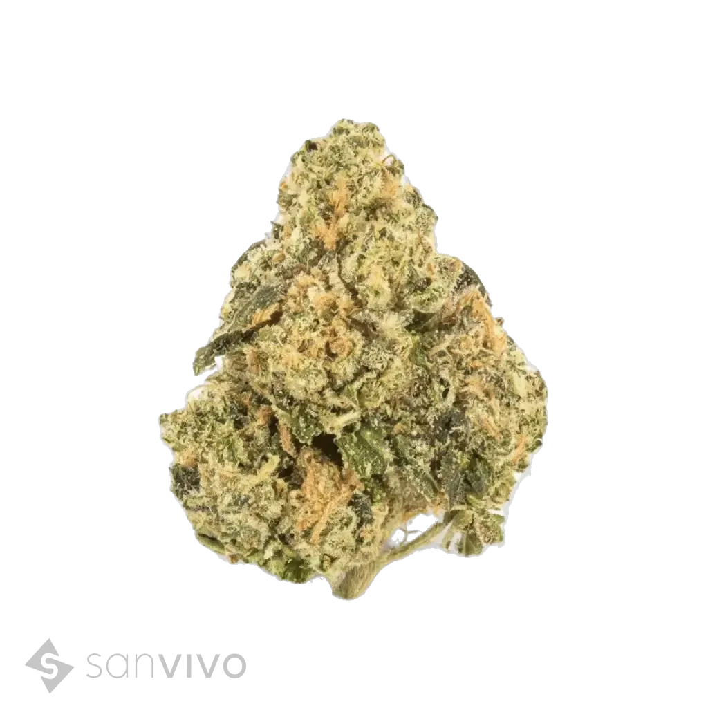 Green Karat SD 30/1 PT