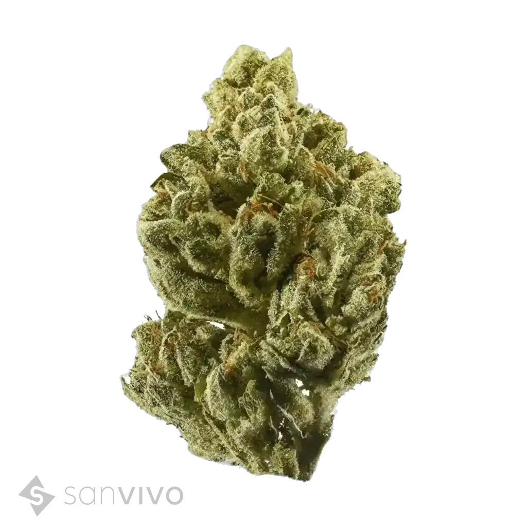 CM 24/1 OGKush
