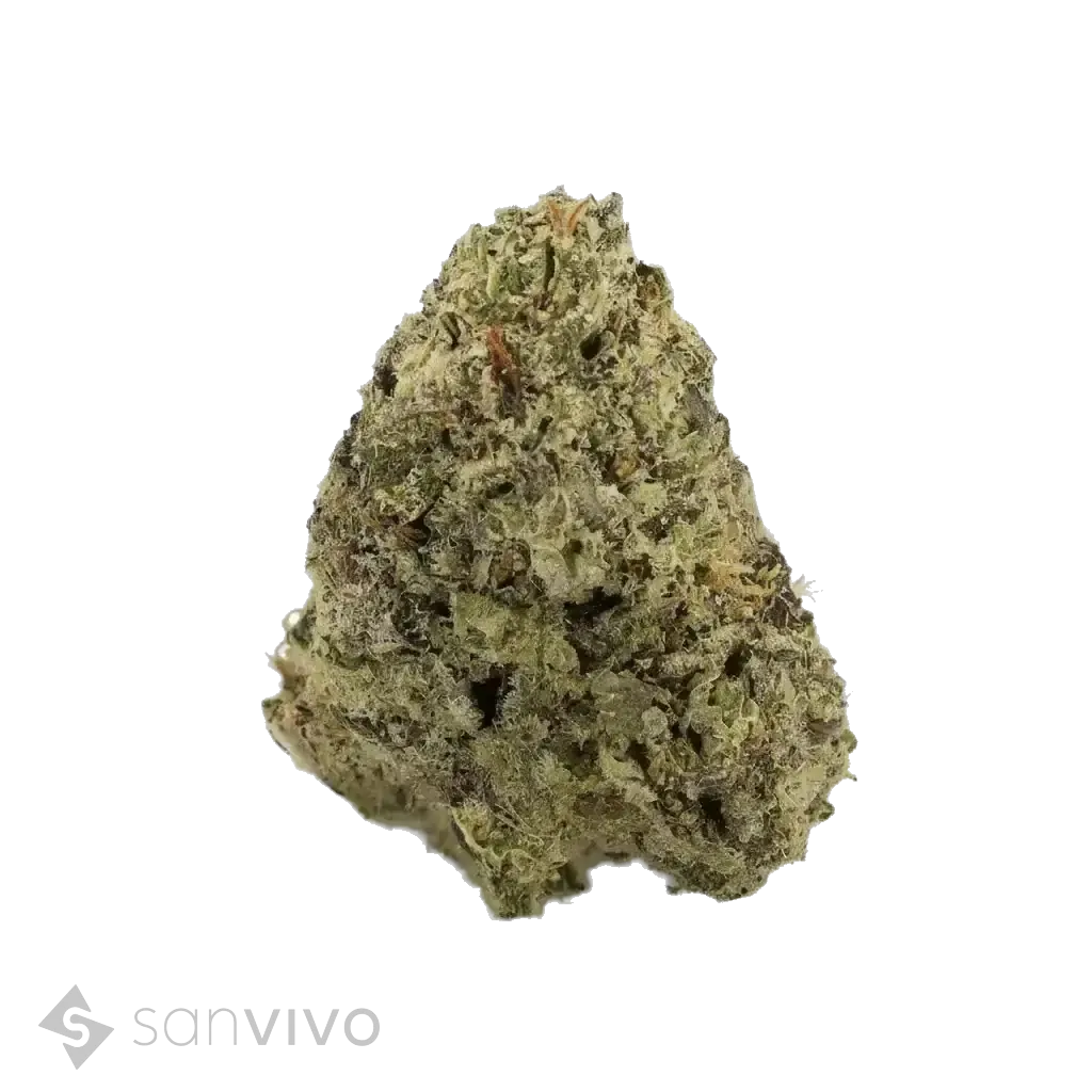 CM Sativa forte NM - WT