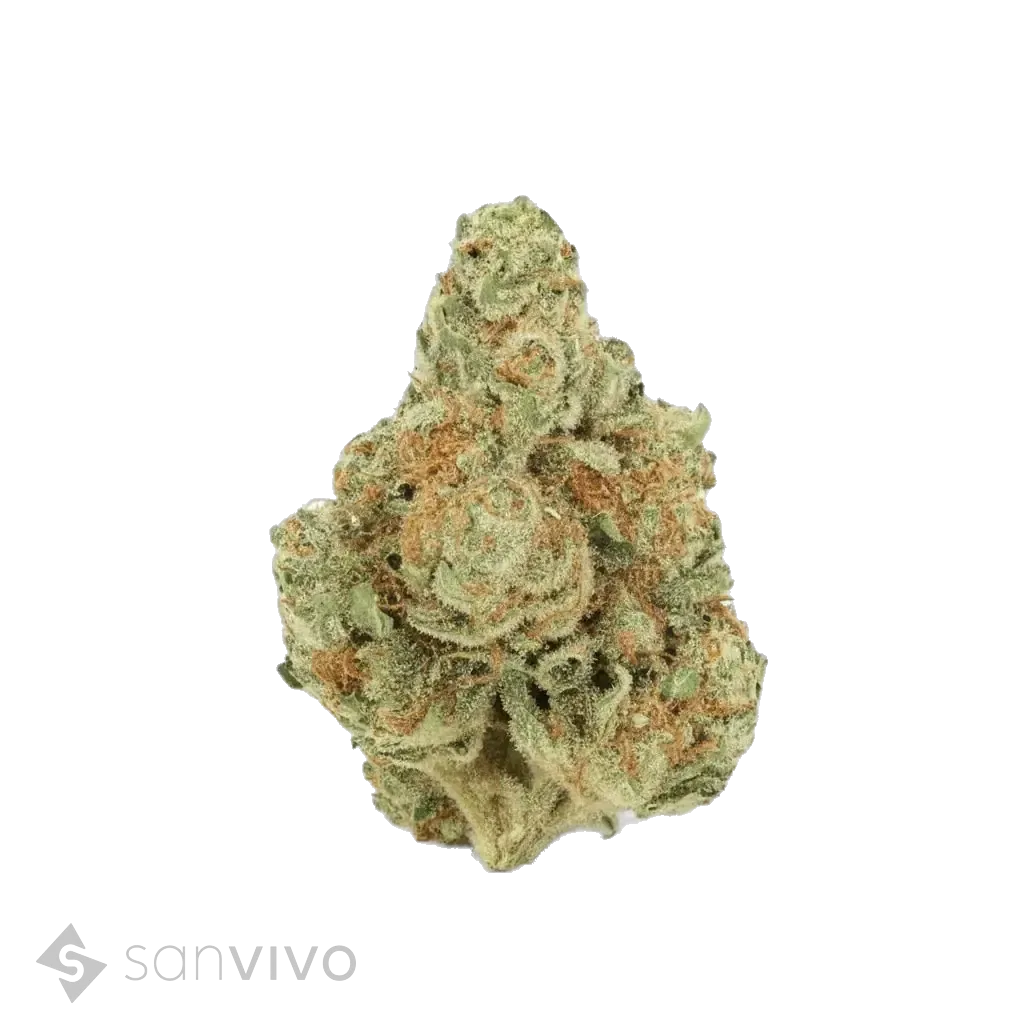 CM Sativa forte ES