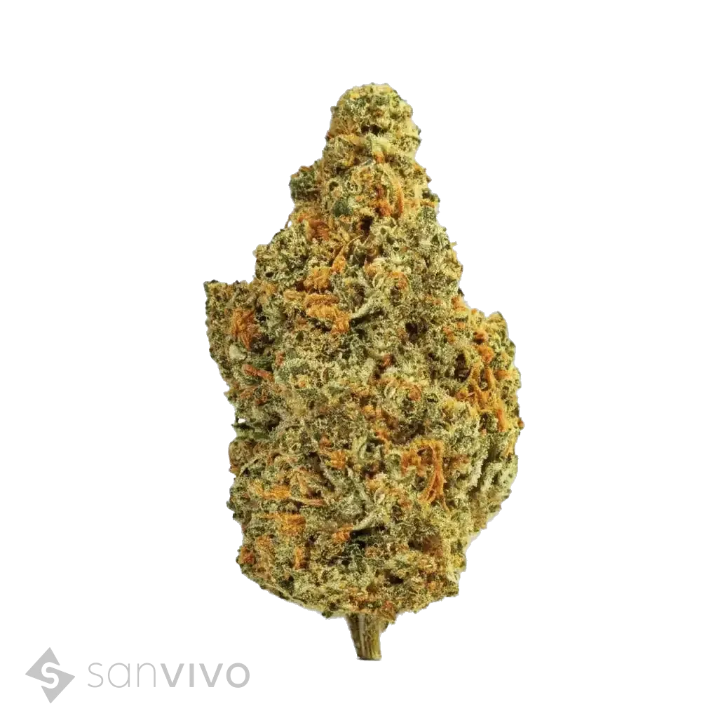 Cannabisprodukt ZOIKS 22/1 TG