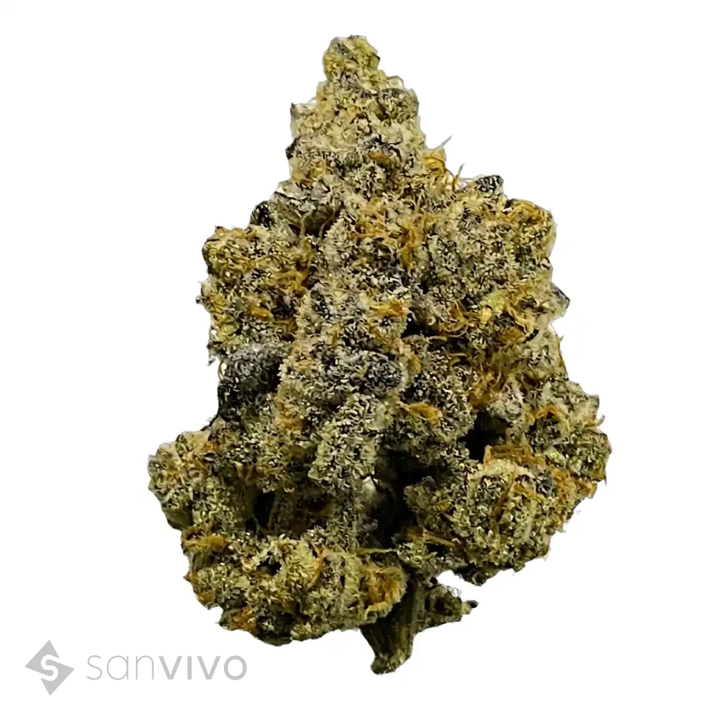 Botanics Golden ACE 24/1