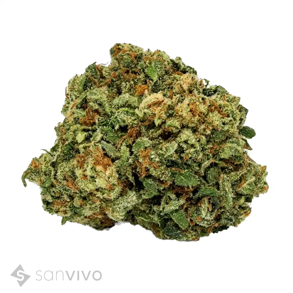 Cannabisprodukt Madrecan 24/1