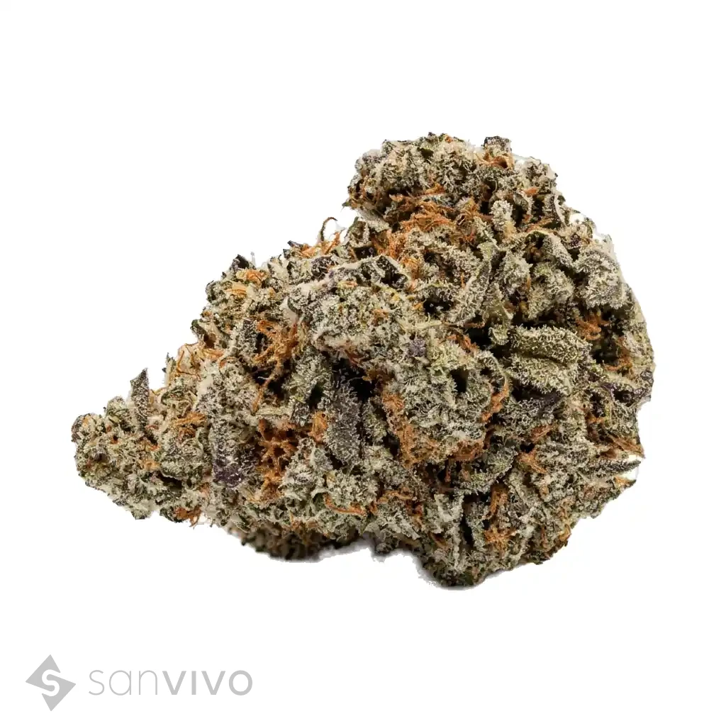 Cannamedical CM 28/1 BRY Strawberry OG
