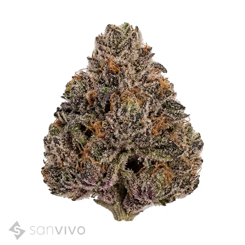 Cannamedical Indica classic AU London Pound Cake