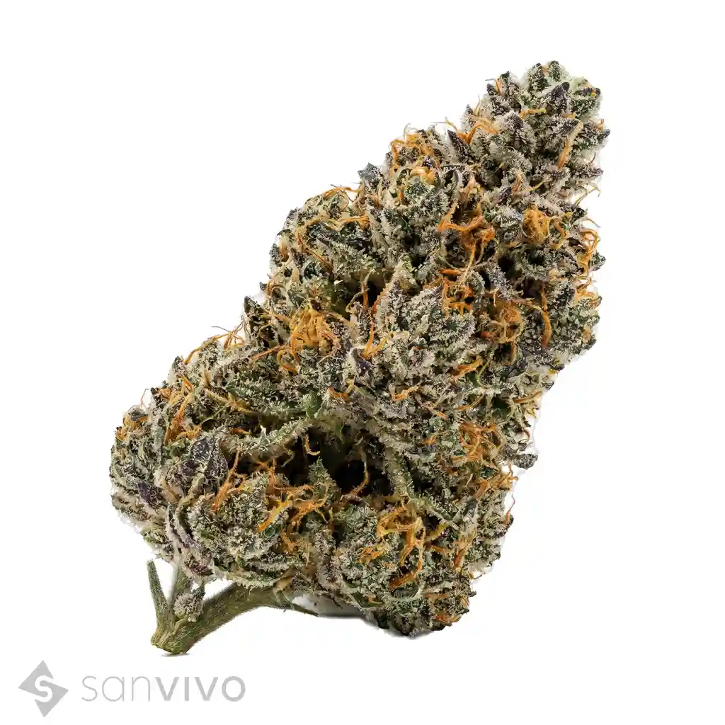 ZOIKS 18/1 MER