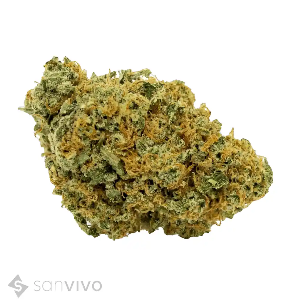 Origine Nature CHEM 29/1