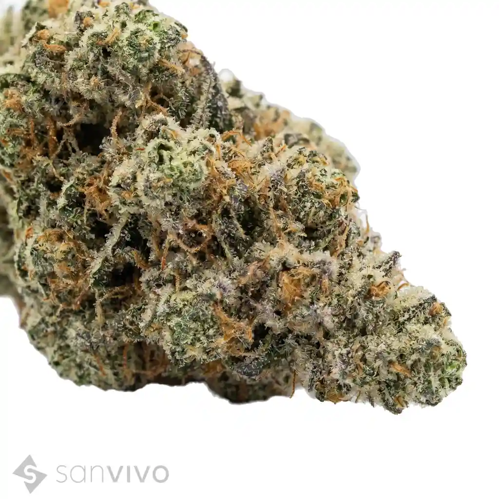 CM Sativa Ultra ES