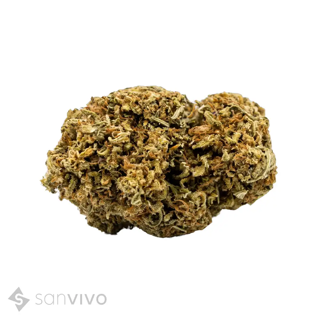 Cannabis 23/1 ES