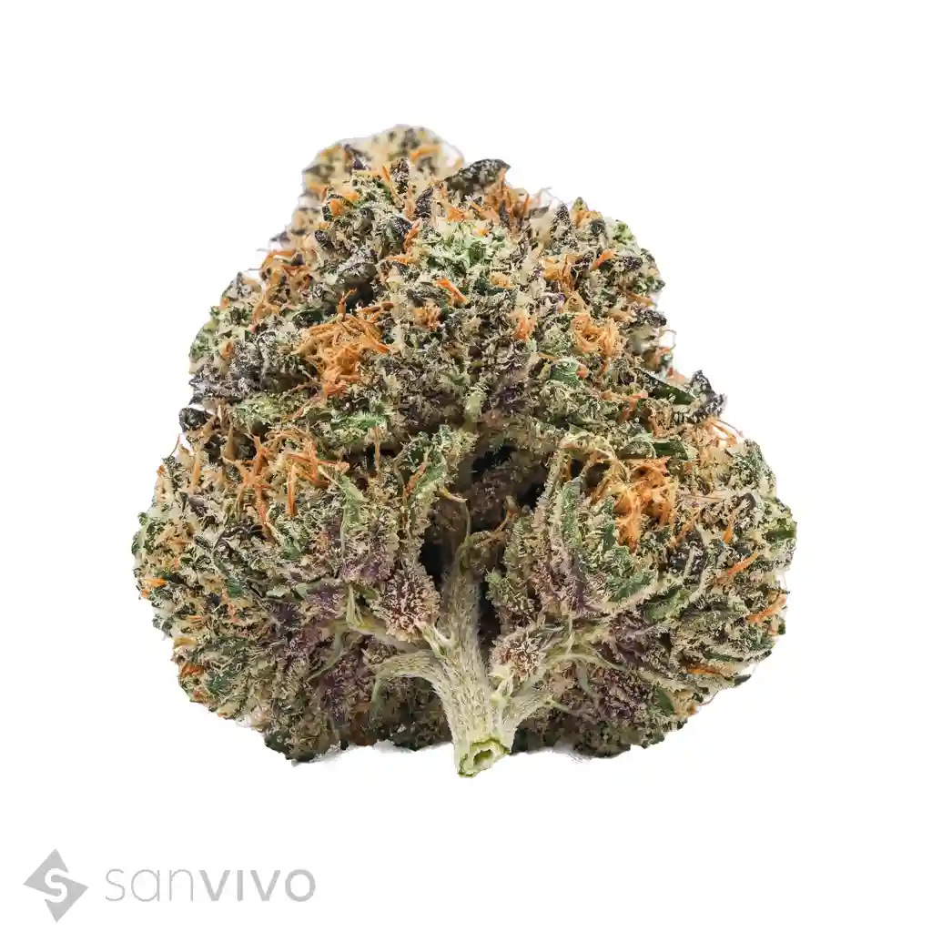 Cannabis flos 14/1 CL