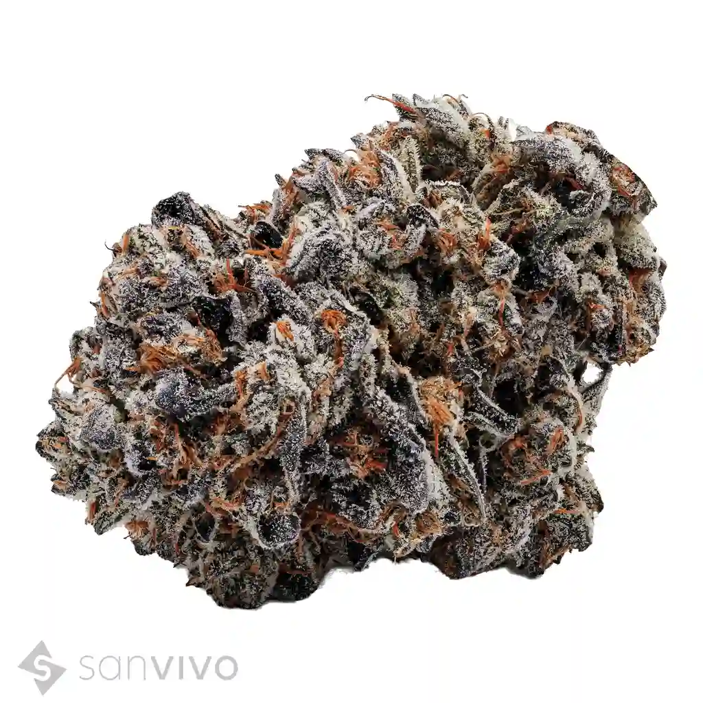 Produkt enua 27/1 COZ CA Cookies OZ