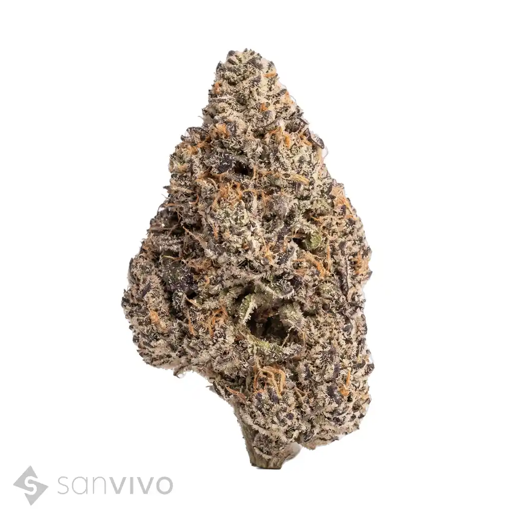 Produkt enua 33/1 PCB CA Purps Crystal Breath